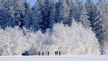 Things To Do In Vancouver Canada In December